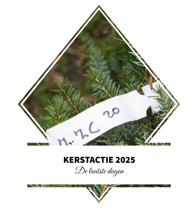De laatste dagen van de kerstactie 2025